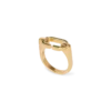 Anillo C Link Anillo C Link
